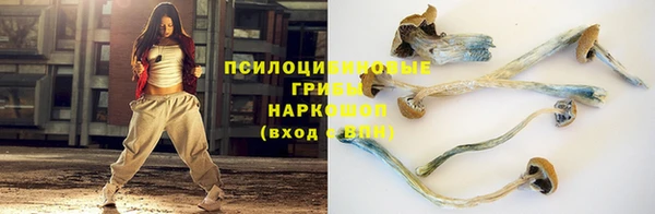ALPHA PVP Алексеевка