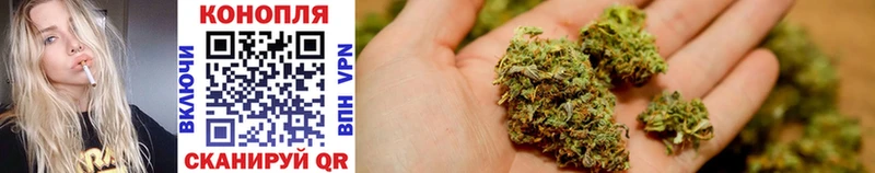 Конопля Bruce Banner  Мышкин 